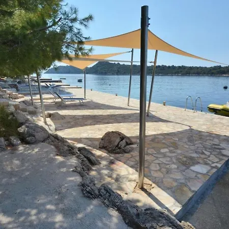 In Karbuni With Sea View, Terrace, Air Conditioning, W-lan 3609-1 Appartement Blato (Korcula)