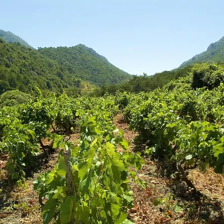 Appartement In Karbuni With Sea View, Terrace, Air Conditioning, W-lan 3609-1 Blato (Korcula)